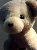 071202_1431.jpg